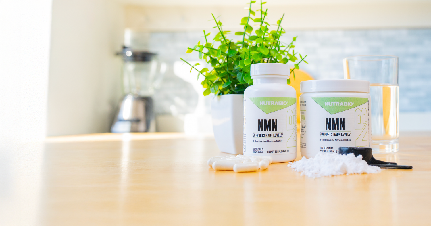 Nmn capsules and powder on counter top in kitchen
