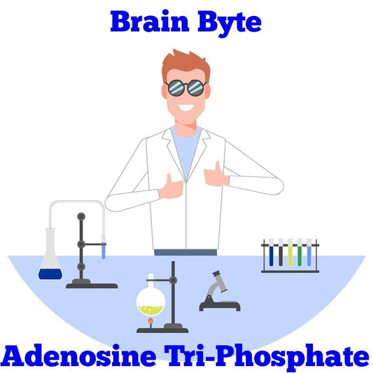 What Is Adenosine Triphosphate?