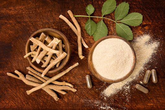 Understanding Ashwagandha: The Ancient Herb for Modern Stress and Anxiety