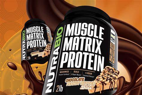 Blended protein for muscle enhancement