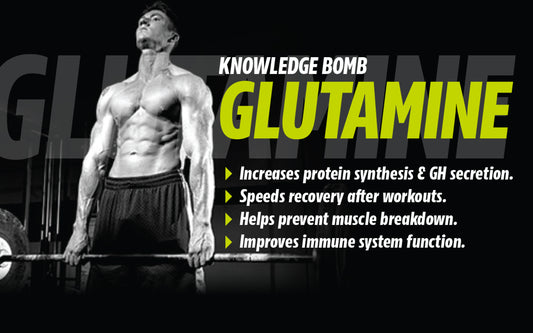 Glutamine: Essential for Muscle Recovery and More