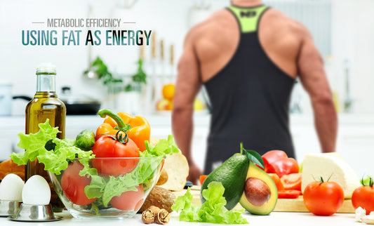 Metabolic Efficiency: Using Fat As Energy