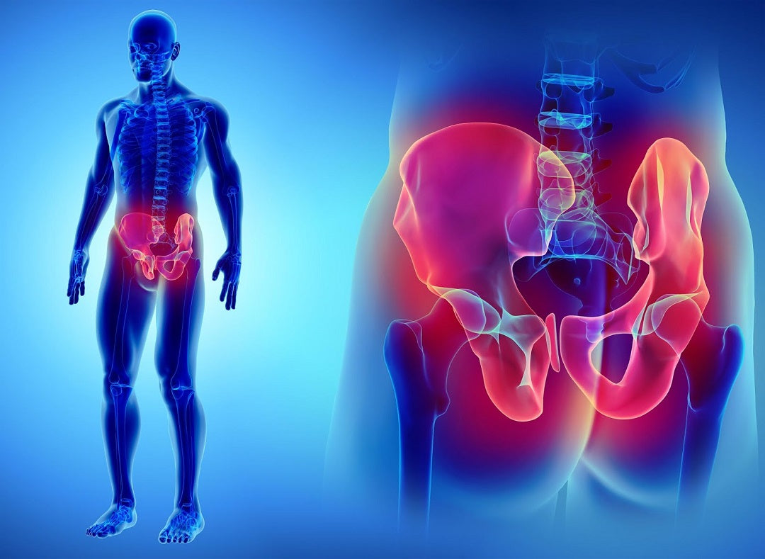 The 4 Best Exercises For Pelvic Stability – NutraBio Brands