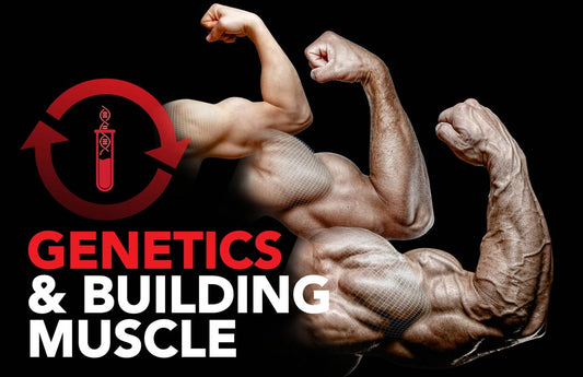 Does Genetics Actually Play a Role in Building Muscle?