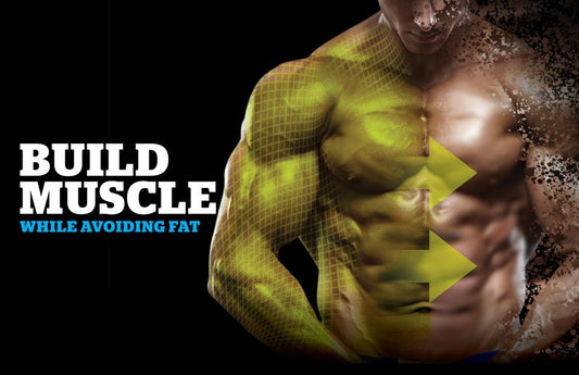 How to Effectively Increase Muscle While Minimizing Fat Gain