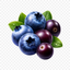 12 x Blueberry Acai