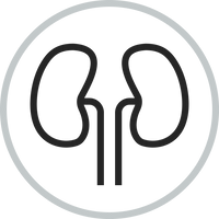 Kidney Function and Filtration