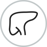Liver Health and Detox Pathways