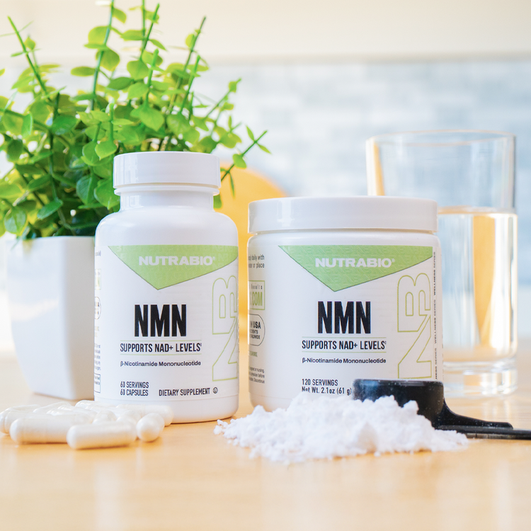 Nmn capsules and powder on counter top in kitchen
