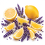 Lemon Lavender
