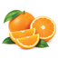 Outlast Orange