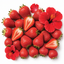 Strawberry Hibiscus